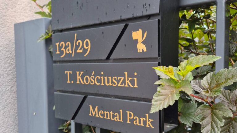 Psychoterapia online czy stacjonarnie w Koninie?